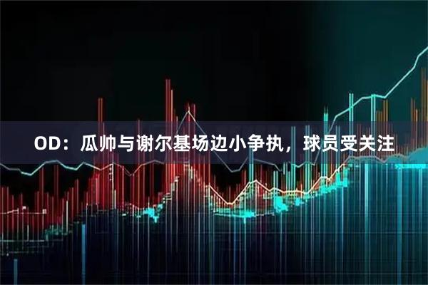 OD：瓜帅与谢尔基场边小争执，球员受关注