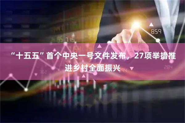 “十五五”首个中央一号文件发布，27项举措推进乡村全面振兴