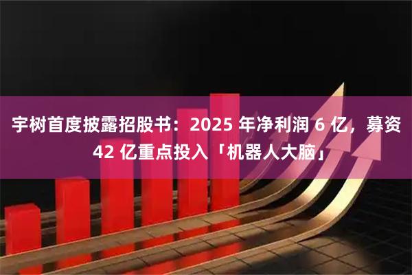 宇树首度披露招股书：2025 年净利润 6 亿，募资 42 亿重点投入「机器人大脑」