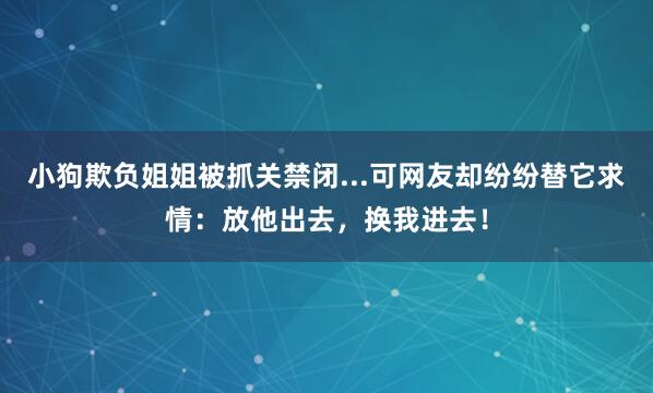 小狗欺负姐姐被抓关禁闭...可网友却纷纷替它求情：放他出去，换我进去！