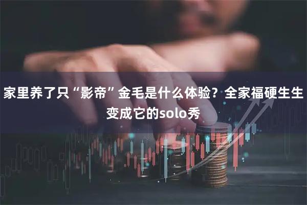 家里养了只“影帝”金毛是什么体验？全家福硬生生变成它的solo秀