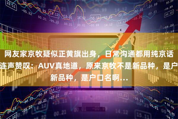 网友家京牧疑似正黄旗出身，日常沟通都用纯京话，评论区连声赞叹：AUV真地道，原来京牧不是新品种，是户口名啊…