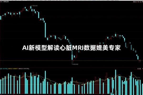 AI新模型解读心脏MRI数据媲美专家