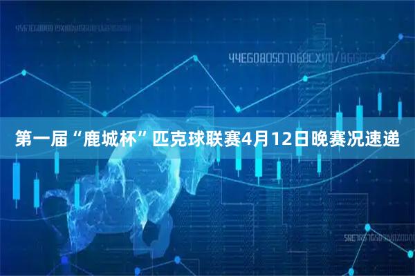 第一届“鹿城杯”匹克球联赛4月12日晚赛况速递