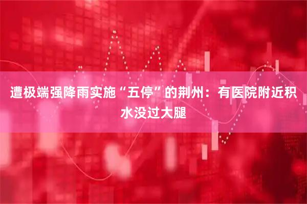 遭极端强降雨实施“五停”的荆州：有医院附近积水没过大腿