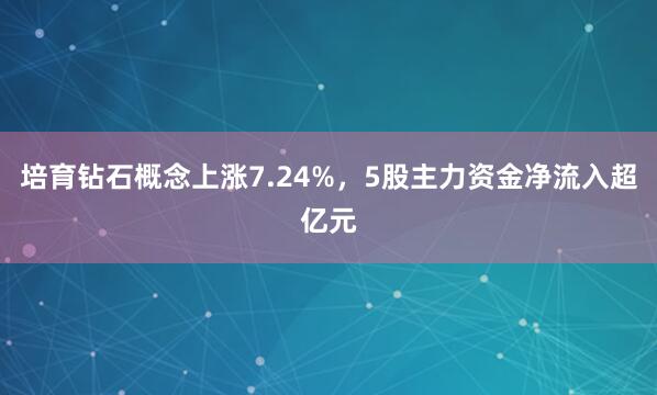 培育钻石概念上涨7.24%,5股主力资金净流入超亿元