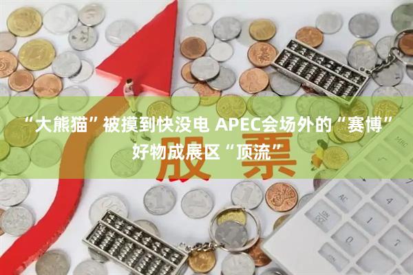 “大熊猫”被摸到快没电 APEC会场外的“赛博”好物成展区“顶流”